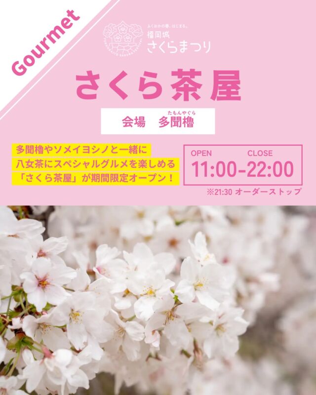 3/26(水)スタート！
福岡城 さくらまつり2025🌸✨
￣￣￣￣￣￣￣￣￣￣￣￣￣￣
＜さくら茶屋＞

桜舞う多聞櫓に、期間限定で茶屋が登場！

国の重要文化財にも指定されている
#多聞櫓 (たもんやぐら)と
咲き誇るソメイヨシノを堪能できる、
「さくら茶屋」が期間限定でオープン🌸！

#石村萬盛堂 ( @ishimuramanseido )の甘味や
#住吉酒販 ( @sumiyoshishuhan )が監修する日本酒、
そして #福岡城さくらまつり 新名物の
#大濠うなぎ をご堪能いただけます。

皆さまのご来場をお待ちしております🎶

〜〜〜〜〜〜〜〜
@fukuoka_sakuramatsuri では、
さくらまつり開催まで、イベント情報を随時更新🔥！
ぜひ、最新情報をチェックしてご来場ください🎶

📸会場で撮影した写真や動画は、
@fukuoka_sakuramatsuri をタグ付けしてご投稿ください🌸
素敵な投稿はアカウントで紹介させていただきます✨
〜〜〜〜〜〜〜〜

＜EVENT INFO＞
■さくら茶屋
会場：多聞櫓
期間：3/26(水)〜4/6(日)
時間：11:00〜22:00 ※21:30オーダーストップ
※18:00以降は「さくらライトアップ」入場料が必要となります。

〰❀〰❀〰❀〰❀〰❀〰❀〰
ふくおかの春、はじまる。
福岡城 さくらまつり 開催！
￣￣￣￣￣￣￣￣￣￣￣￣￣￣
期間：3/26(水)〜4/6(日)
会場：舞鶴公園
時間：11:00~22:00

❀さくらライトアップ（有料エリア）
　-18:00~22:00
✿お花見広場
　-満開の桜の前でBBQも🍖
❀さくらグルメエリア
　-福岡のグルメが大集合🍽
✿さくらキッズパーク/さくら大道芸
❀乗馬体験/人力車体験
✿スタンプラリー
etc...

期間中はイベント盛りだくさん！
イベント詳細はプロフィールのURLよりご確認ください。

⚠️注意事項⚠️
舞鶴公園内では以下の行為は禁止です。
・無人での場所取り
・所定エリア以外での火気の使用
　（電気による熱源も含む）
・発電機、カセットコンロの使用
・さくらライトアップ（有料エリア）内における
　ライトアップ時間内(18:00～22:00)の
  会場内でのシート等での場所取りや宴会行為

ルールを守ってお楽しみください。
皆さまのご来場をお待ちしております♬

〰❀〰❀〰❀〰❀〰❀〰❀〰

主催：福岡城さくらまつり実行委員会

お問い合わせ：
福岡城さくらまつり実行委員会事務局
(福岡市住宅都市局公園部活用課)
TEL 092-600-7027

#福岡城さくらまつり #舞鶴公園 #福岡市 #福岡 #福岡観光 #福岡旅行
#福岡イベント #桜 #sakura #さくら #ピクニック #お花見