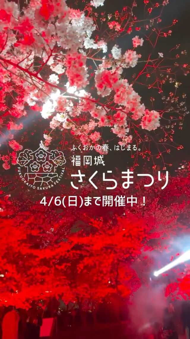 4/6(日)まで開催中！
福岡城 さくらまつり2025🌸✨

会場内に溢れる桜の絶景はもちろん、
グルメやイベントなど盛りだくさん😋！

いよいよ今週末までの開催となりました💡

天候によるイベントの実施有無は
随時ストーリーズに掲載しております🙏

皆さまのご来場をお待ちしております🎶

〜〜〜〜〜〜〜〜
@fukuoka_sakuramatsuri では、
さくらまつり開催まで、イベント情報を随時更新🔥！
ぜひ、最新情報をチェックしてご来場ください🎶

📸会場で撮影した写真や動画は、
@fukuoka_sakuramatsuri をタグ付けしてご投稿ください🌸
素敵な投稿はアカウントで紹介させていただきます✨
〜〜〜〜〜〜〜〜

〰❀〰❀〰❀〰❀〰❀〰❀〰
ふくおかの春、はじまる。
福岡城 さくらまつり 開催！
￣￣￣￣￣￣￣￣￣￣￣￣￣￣
期間：3/26(水)〜4/6(日)
会場：舞鶴公園
時間：11:00~22:00

❀さくらライトアップ（有料エリア）
　-18:00~22:00
✿お花見広場
　-満開の桜の前でBBQも🍖
❀さくらグルメエリア
　-福岡のグルメが大集合🍽
✿さくらキッズパーク/さくら大道芸
❀乗馬体験/人力車体験
✿スタンプラリー
etc...

期間中はイベント盛りだくさん！
イベント詳細はプロフィールのURLよりご確認ください。

⚠️注意事項⚠️
舞鶴公園内では以下の行為は禁止です。
・無人での場所取り
・所定エリア以外での火気の使用
　（電気による熱源も含む）
・発電機、カセットコンロの使用
・さくらライトアップ（有料エリア）内における
　ライトアップ時間内(18:00～22:00)の
  会場内でのシート等での場所取りや宴会行為

ルールを守ってお楽しみください。
皆さまのご来場をお待ちしております♬

〰❀〰❀〰❀〰❀〰❀〰❀〰

主催：福岡城さくらまつり実行委員会

お問い合わせ：
福岡城さくらまつり実行委員会事務局
(福岡市住宅都市局公園部活用課)
TEL 092-600-7027

#福岡城さくらまつり #舞鶴公園 #福岡市 #福岡 #福岡観光 #福岡旅行
#福岡イベント #桜 #sakura #さくら #ピクニック #お花見