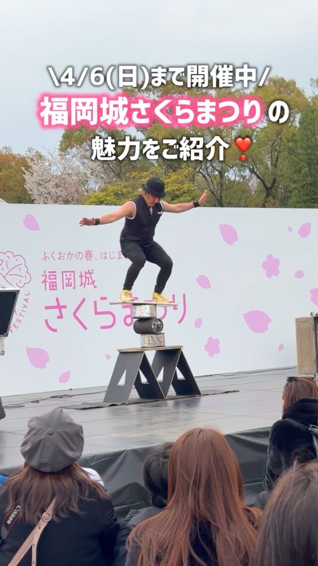 .
福岡城 さくらまつり2025開催中🌸
￣￣￣￣￣￣￣￣￣￣￣￣￣￣￣￣￣
いよいよ桜が見頃を迎えました🌸🎶

「福岡城さくらまつり」の見どころを
ご紹介します🔥！

約90店舗の人気グルメやキッチンカーが揃う
「さくらグルメエリア」をはじめ、
幻想的な空間が広がる「さくらライトアップ」など、
一日中満喫できるイベントが盛りだくさん😋✨

皆様のご来場をお待ちしております🌸🎶

〜〜〜〜〜

📸会場で撮影した写真や動画は、
@fukuoka_sakuramatsuri をタグ付けして投稿してね🌸
素敵な投稿はアカウントで紹介させていただきます✨

〰❀〰❀〰❀〰❀〰❀〰❀〰
ふくおかの春、はじまる。
福岡城 さくらまつり 開催！
￣￣￣￣￣￣￣￣￣￣￣￣￣￣
期間：3/26(水)〜4/6(日)
会場：舞鶴公園
時間：11:00~22:00

❀さくらライトアップ（有料エリア）
　-18:00~22:00
✿お花見広場
　-満開の桜の前でBBQも🍖
❀さくらグルメエリア
　-福岡のグルメが大集合🍽
✿さくらキッズパーク/さくら大道芸
❀乗馬体験/人力車体験
✿スタンプラリー
etc...

期間中はイベント盛りだくさん！
イベント詳細はプロフィールのURLよりご確認ください。

⚠️注意事項⚠️
舞鶴公園内では以下の行為は禁止です。
・無人での場所取り
・火気の使用
・発電機、カセットコンロの使用

ルールを守ってお楽しみください。
皆さまのご来場をお待ちしております♬

〰❀〰❀〰❀〰❀〰❀〰❀〰

主催：福岡城さくらまつり実行委員会

お問い合わせ：
福岡城さくらまつり実行委員会事務局
(福岡市住宅都市局公園部活用課)
TEL 092-600-7027

#福岡城さくらまつり #舞鶴公園 #福岡市 #福岡 #福岡観光 #福岡旅行
#福岡イベント #桜 #sakura #さくら #ピクニック #お花見
