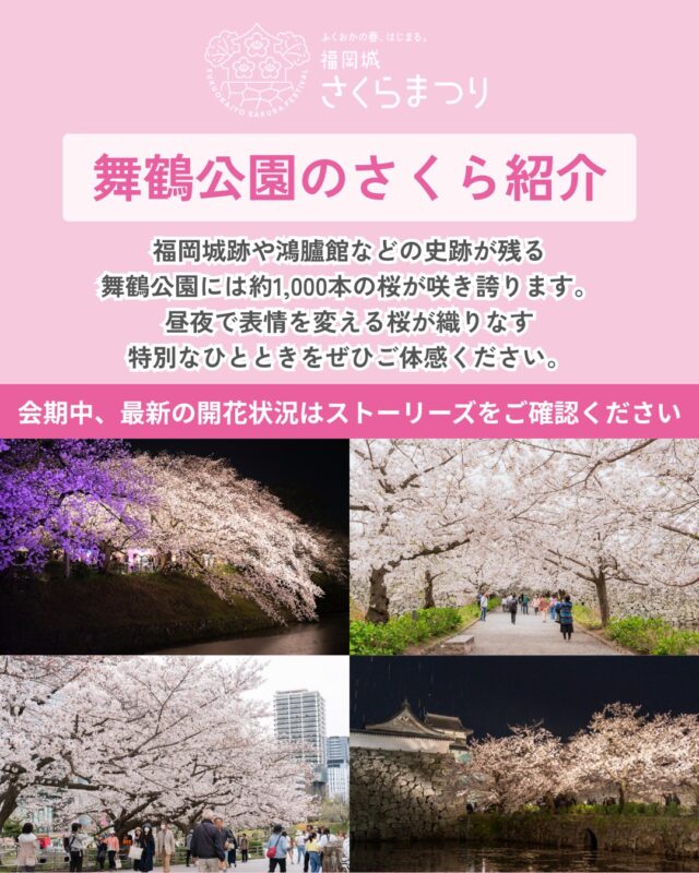 3/25(水)スタート!
福岡城 さくらまつり2026🌸✨
 ̄ ̄ ̄ ̄ ̄ ̄ ̄ ̄ ̄ ̄ ̄ ̄ ̄ ̄
福岡城跡や鴻臚館などの史跡が残る
舞鶴公園には約1,000本の桜が咲き誇ります。
昼夜で表情を変える桜が織りなす
特別なひとときをぜひご体感ください✨
皆さまのご来場をお待ちしております🎶
📣@fukuoka_sakuramatsuri では、
会期中、イベントの様子や開花状況を随時更新します🌸
📸会場で撮影した写真や動画は、
@fukuoka_sakuramatsuri をタグ付け投稿🎶
素敵な投稿はアカウントで紹介させていただきます✨
〰❀〰❀〰❀〰❀〰❀〰❀〰
ふくおかの春、はじまる。
福岡城 さくらまつり 開催!
 ̄ ̄ ̄ ̄ ̄ ̄ ̄ ̄ ̄ ̄ ̄ ̄ ̄ ̄
期間:3/25(水)〜4/5(日)
会場:舞鶴公園
時間:11:00~22:00
❀さくらライトアップ(有料エリア)
-18:00~22:00
✿さくらグルメエリア
❀お花見広場/さくら茶屋/さくら縁日
✿キッズパーク/さくら大道芸
❀福岡城・鴻臚館スタンプラリー
✿さくらふれあい動物園
etc...
期間中はイベント盛りだくさん!
イベント詳細はプロフィールのURLよりご確認ください。
📣福岡城さくらまつりからのお知らせ📣
🚗お⾞での来場は⼤変混雑します。
公共交通機関をご利⽤ください。
♻️持参したゴミはお持ち帰りください。
🙅♀️無人によるシート等での場所取りは禁止です。
🌉さくらライトアップ(有料エリア)は18:00~22:00の間、
シート等での場所取りや宴会行為は禁止です。
🔥所定エリア以外での火気使用は禁止です。
ルールを守ってお楽しみください。
皆さまのご来場をお待ちしております🌸
〰❀〰❀〰❀〰❀〰❀〰❀〰
主催:福岡城さくらまつり実行委員会
お問い合わせ:
福岡城さくらまつり総合案内
TEL:092-600-2726
(受付時間/平日10:00~17:00)
※さくらまつり期間中は土日も対応
MAIL:event@saku-hana.jp
#福岡城さくらまつり #舞鶴公園 #福岡市 #福岡 #福岡観光