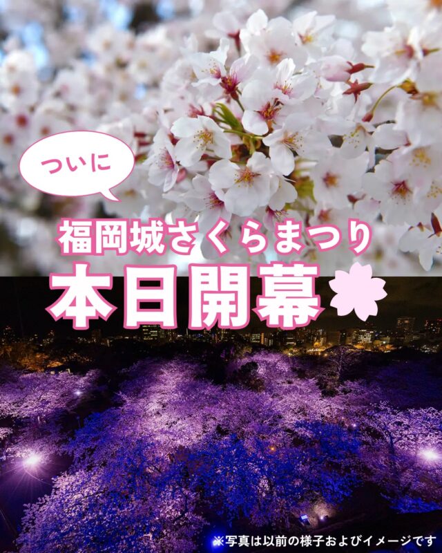 ふくおかの春、はじまる。
福岡城 さくらまつり2026
本日3/25(水)スタート🌸！
￣￣￣￣￣￣￣￣￣￣￣￣￣￣
期間：3/25(水)〜4/5(日)
会場：舞鶴公園
時間：11:00~22:00

❀さくらライトアップ（有料エリア）
　-18:00~22:00
✿さくらグルメエリア
❀お花見広場/さくら茶屋/さくら縁日
✿キッズパーク/さくら大道芸
❀福岡城・鴻臚館スタンプラリー
✿さくらふれあい動物園
etc...

期間中はイベント盛りだくさん！
イベント詳細はプロフィールのURLよりご確認ください。

📣福岡城さくらまつりからのお知らせ📣

🚗お⾞での来場は⼤変混雑します。
公共交通機関をご利⽤ください。
♻️持参したゴミはお持ち帰りください。
🙅‍♀️無人によるシート等での場所取りは禁止です。
🌉さくらライトアップ（有料エリア）は18:00～22:00の間、
シート等での場所取りや宴会行為は禁止です。
🔥所定エリア以外での火気使用は禁止です。

ルールを守ってお楽しみください。
皆さまのご来場をお待ちしております🌸

〰❀〰❀〰❀〰❀〰❀〰❀〰

📣@fukuoka_sakuramatsuri では、
会期中、イベントの様子や開花状況を随時更新します🌸

📸会場で撮影した写真や動画は、
@fukuoka_sakuramatsuri をタグ付け投稿🎶
素敵な投稿はアカウントで紹介させていただきます✨

〰❀〰❀〰❀〰❀〰❀〰❀〰

主催：福岡城さくらまつり実行委員会

お問い合わせ：
福岡城さくらまつり総合案内
TEL：092-600-2726
（受付時間/平日10:00～17:00）
※さくらまつり期間中は土日も対応
MAIL：event@saku-hana.jp

#福岡城さくらまつり #舞鶴公園 #福岡市 #福岡 #福岡観光