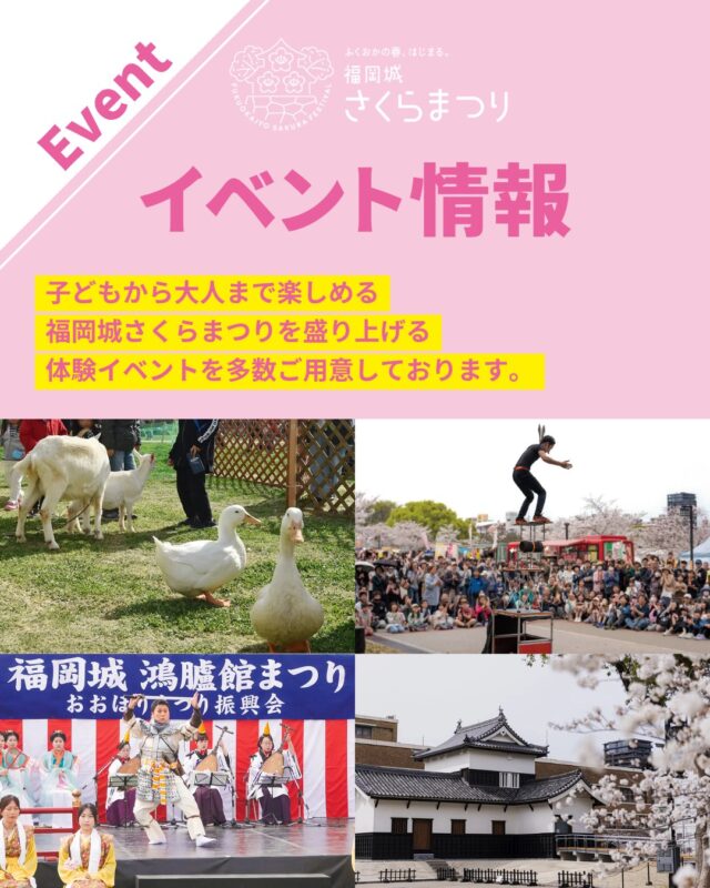 3/25(水)スタート!
福岡城 さくらまつり2026🌸✨
 ̄ ̄ ̄ ̄ ̄ ̄ ̄ ̄ ̄ ̄ ̄ ̄ ̄ ̄
今年も、子どもから大人まで楽しめる
体験イベントを多数ご用意しております😊🎶
詳細は福岡城さくらまつり公式HPをご確認ください。
皆さまのご来場をお待ちしております✨
📣@fukuoka_sakuramatsuri では、
会期中、イベントの様子や開花状況を随時更新します🌸
📸会場で撮影した写真や動画は、
@fukuoka_sakuramatsuri をタグ付け投稿🎶
素敵な投稿はアカウントで紹介させていただきます✨
〰❀〰❀〰❀〰❀〰❀〰❀〰
ふくおかの春、はじまる。
福岡城 さくらまつり 開催!
 ̄ ̄ ̄ ̄ ̄ ̄ ̄ ̄ ̄ ̄ ̄ ̄ ̄ ̄
期間:3/25(水)〜4/5(日)
会場:舞鶴公園
時間:11:00~22:00
❀さくらライトアップ(有料エリア)
-18:00~22:00
✿さくらグルメエリア
❀お花見広場/さくら茶屋/さくら縁日
✿キッズパーク/さくら大道芸
❀福岡城・鴻臚館スタンプラリー
✿さくらふれあい動物園
etc...
期間中はイベント盛りだくさん!
イベント詳細はプロフィールのURLよりご確認ください。
📣福岡城さくらまつりからのお知らせ📣
🚗お⾞での来場は⼤変混雑します。
公共交通機関をご利⽤ください。
♻️持参したゴミはお持ち帰りください。
🙅♀️無人によるシート等での場所取りは禁止です。
🌉さくらライトアップ(有料エリア)は18:00~22:00の間、
シート等での場所取りや宴会行為は禁止です。
🔥所定エリア以外での火気使用は禁止です。
ルールを守ってお楽しみください。
皆さまのご来場をお待ちしております🌸
〰❀〰❀〰❀〰❀〰❀〰❀〰
主催:福岡城さくらまつり実行委員会
お問い合わせ:
福岡城さくらまつり総合案内
TEL:092-600-2726
(受付時間/平日10:00~17:00)
※さくらまつり期間中は土日も対応
MAIL:event@saku-hana.jp
#福岡城さくらまつり #舞鶴公園 #福岡市 #福岡 #福岡観光