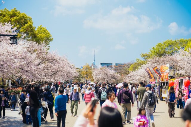 会期延長決定🌸!
福岡城 さくらまつり2026
 ̄ ̄ ̄ ̄ ̄ ̄ ̄ ̄ ̄ ̄ ̄ ̄ ̄ ̄
舞鶴公園の桜が満開に🌸
4/8(水)まで会期延長中✨!
舞鶴公園では、
まだまだお花見を楽しめます😋❣️
ご家族でお楽しみいただけるイベント盛りだくさん✨
今年は新たに「さくらふれあい動物園」も登場🎶
公園内の桜はまだまだお楽しみいただけます😊
皆さまのご来場をお待ちしております🌸
※お花見広場の会期延長はございません。ご了承ください。
◼︎福岡城さくらまつり2026
期間:3/25(水)〜4/8(日)
会場:舞鶴公園
時間:11:00~22:00
❀さくらライトアップ(有料エリア)
-18:00~22:00
✿さくらグルメエリア
❀さくら茶屋/さくら縁日
✿さくら大道芸
❀福岡城・鴻臚館スタンプラリー
✿さくらふれあい動物園
etc...
期間中はイベント盛りだくさん!
イベント詳細はプロフィールのURLよりご確認ください。
📣福岡城さくらまつりからのお知らせ📣
🚗お⾞での来場は⼤変混雑します。
公共交通機関をご利⽤ください。
♻️持参したゴミはお持ち帰りください。
🙅♀️無人によるシート等での場所取りは禁止です。
🌉さくらライトアップ(有料エリア)は18:00~22:00の間、
シート等での場所取りや宴会行為は禁止です。
🔥所定エリア以外での火気使用は禁止です。
ルールを守ってお楽しみください。
皆さまのご来場をお待ちしております🌸
〰❀〰❀〰❀〰❀〰❀〰❀〰
📣@fukuoka_sakuramatsuri では、
会期中、イベントの様子や開花状況を随時更新します🌸
📸会場で撮影した写真や動画は、
@fukuoka_sakuramatsuri をタグ付け投稿🎶
素敵な投稿はアカウントで紹介させていただきます✨
〰❀〰❀〰❀〰❀〰❀〰❀〰
主催:福岡城さくらまつり実行委員会
お問い合わせ:
福岡城さくらまつり総合案内
TEL:092-600-2726
(受付時間/平日10:00~17:00)
※さくらまつり期間中は土日も対応
MAIL:event@saku-hana.jp
#福岡城さくらまつり #舞鶴公園 #福岡市 #福岡 #福岡観光