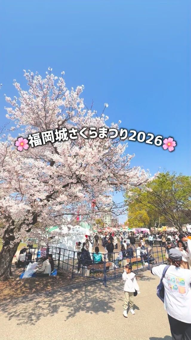 舞鶴公園の桜が満開に🌸
4/8(水)まで会期延長中✨！
福岡城 さくらまつり2026
￣￣￣￣￣￣￣￣￣￣￣￣￣￣
舞鶴公園では、
まだまだお花見を楽しめます😋❣️

今年の「さくらグルメエリア」は
鴻臚館と三ノ丸広場の2箇所に登場🍖✨

他にも「さくらふれあい動物園」や
18:00〜の「さくらライトアップ」など
イベント盛りだくさん✨

皆さまのご来場をお待ちしております🌸🎶

※お花見広場の会期延長はございません。ご了承ください。

＜INFO＞
■福岡城さくらまつり2026
期間：3/25(水)〜4/8(水)
会場：舞鶴公園
時間：11:00~22:00

[さくらグルメエリア]
会場：鴻臚館跡、三ノ丸広場
開催時間：11:00~22:00
※21:30オーダーストップ

[さくらふれあい動物園]
会場：三ノ丸広場
開催時間：11:00~22:00
料金：大人1,000円(税込)/小人(中学生以下)700円(税込)
※小学生までは必ず保護者の入園が必要です。
※2歳以下は無料

[さくらライトアップ]
会場：
・JRAエクセル博多 Presents 桜園
・みぞえグループ Presents 御鷹屋敷
・Zero-Ten Park Presents 多聞櫓
開催時間：
18:00〜22:00 ※21:45最終入場
料金：1会場 600円／3会場セット 1,500円
※高校生以下無料

📣福岡城さくらまつりからのお知らせ📣

🚗お⾞での来場は⼤変混雑します。
公共交通機関をご利⽤ください。
♻️持参したゴミはお持ち帰りください。
🙅‍♀️無人によるシート等での場所取りは禁止です。
🌉さくらライトアップ（有料エリア）は18:00～22:00の間、
シート等での場所取りや宴会行為は禁止です。
🔥所定エリア以外での火気使用は禁止です。

ルールを守ってお楽しみください。
皆さまのご来場をお待ちしております🌸

〰❀〰❀〰❀〰❀〰❀〰❀〰

📣@fukuoka_sakuramatsuri では、
会期中、イベントの様子や開花状況を随時更新します🌸

📸会場で撮影した写真や動画は、
@fukuoka_sakuramatsuri をタグ付け投稿🎶
素敵な投稿はアカウントで紹介させていただきます✨

〰❀〰❀〰❀〰❀〰❀〰❀〰

主催：福岡城さくらまつり実行委員会

お問い合わせ：
福岡城さくらまつり総合案内
TEL：092-600-2726
（受付時間/平日10:00～17:00）
※さくらまつり期間中は土日も対応
MAIL：event@saku-hana.jp

#福岡城さくらまつり #舞鶴公園 #福岡市 #福岡 #福岡観光