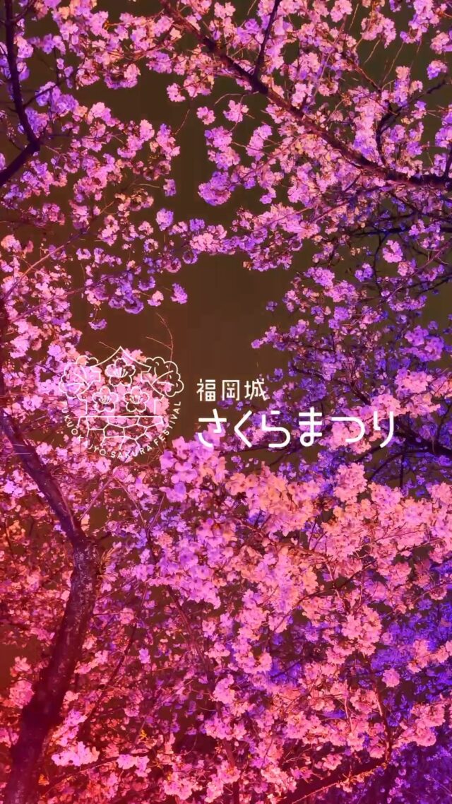 4/8(水)まで会期延長✨!
福岡城 さくらまつり2026🌸
 ̄ ̄ ̄ ̄ ̄ ̄ ̄ ̄ ̄ ̄ ̄ ̄ ̄ ̄
園内の様子をご紹介します👀✨
舞鶴公園内、お昼間は全エリアを無料開放!
さくらまつりに来たら
ぜひ園内をお散歩してみてください☺️
18:00からは幻想的なライトアップも🌟
福岡城さくらまつりは、明日4/8(水)まで!
皆さまのご来場をお待ちしております✨
◼福岡城さくらまつり2026
期間:3/25(水)〜4/8(水)
会場:舞鶴公園
時間:11:00~22:00
❀さくらライトアップ(有料エリア)
-18:00~22:00
✿さくらグルメエリア
❀さくら茶屋/さくら縁日
✿さくら大道芸
❀福岡城・鴻臚館スタンプラリー
✿さくらふれあい動物園
etc...
期間中はイベント盛りだくさん!
イベント詳細はプロフィールのURLよりご確認ください。
📣福岡城さくらまつりからのお知らせ📣
🚗お⾞での来場は⼤変混雑します。
公共交通機関をご利⽤ください。
♻️持参したゴミはお持ち帰りください。
🙅♀️無人によるシート等での場所取りは禁止です。
🌉さくらライトアップ(有料エリア)は18:00~22:00の間、
シート等での場所取りや宴会行為は禁止です。
🔥所定エリア以外での火気使用は禁止です。
ルールを守ってお楽しみください。
皆さまのご来場をお待ちしております🌸
〰❀〰❀〰❀〰❀〰❀〰❀〰
📣@fukuoka_sakuramatsuri では、
会期中、イベントの様子や開花状況を随時更新します🌸
📸会場で撮影した写真や動画は、
@fukuoka_sakuramatsuri をタグ付け投稿🎶
素敵な投稿はアカウントで紹介させていただきます✨
〰❀〰❀〰❀〰❀〰❀〰❀〰
主催:福岡城さくらまつり実行委員会
お問い合わせ:
福岡城さくらまつり総合案内
TEL:092-600-2726
(受付時間/平日10:00~17:00)
※さくらまつり期間中は土日も対応
MAIL:event@saku-hana.jp
#福岡城さくらまつり #舞鶴公園 #福岡市 #福岡 #福岡観光