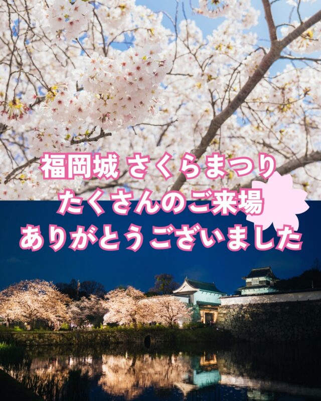 🌸福岡城さくらまつり2026🌸
本日で無事に終了いたしました。
今年はお天気に恵まれない日もあり、
なかなか“お花見日和”とはいかない日もありましたが…
それでもたくさんの方にご来場いただき、
福岡城の桜を楽しんでいただけたこと
心より感謝申し上げます。
ご来場いただいた皆さま、
本当にありがとうございました😊!
また来年、満開の桜のもとで
お会いできることを楽しみにしております🌸
#福岡城さくらまつり